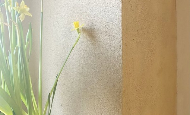 Atelier enduit et béton ciré chez Construire au Naturel proche de Grenoble, Saint-Egrève, CONSTRUIRE AU NATUREL